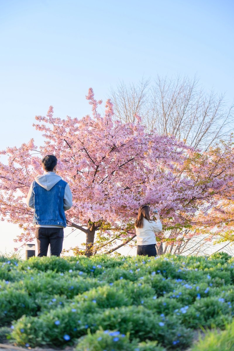 Chrys🌕 tweet media