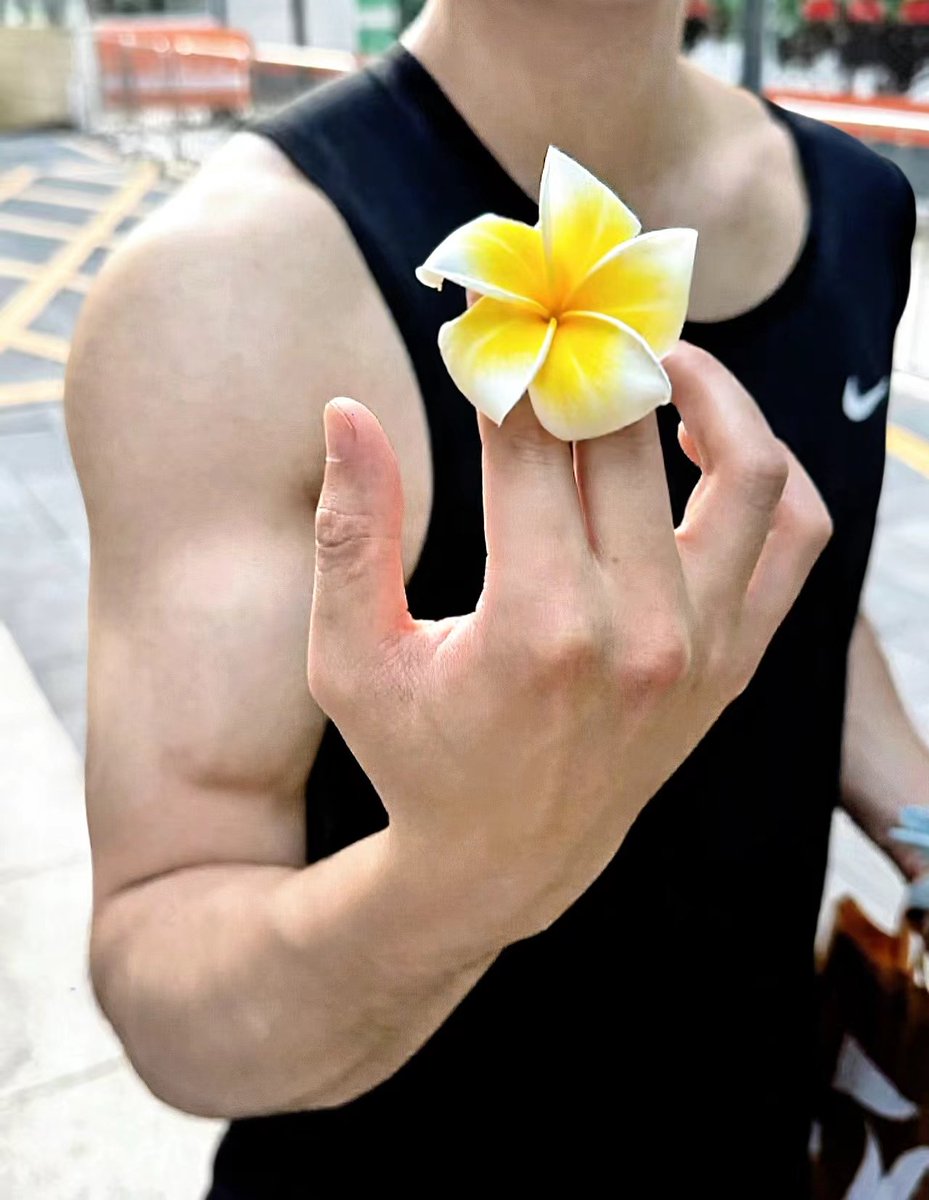 A辛庄建材批发 tweet media