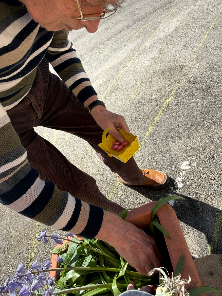 FromeNHome's tweet photo. Happy Easter 🐰🌼💛

We spent some time out in the garden, hiding a few eggs and seeing who spotted them first. Some went looking, some just enjoyed being outside and watched it all happen.

#Caring #Effective #WellLed #easter https://t.co/OcyClR3kTt