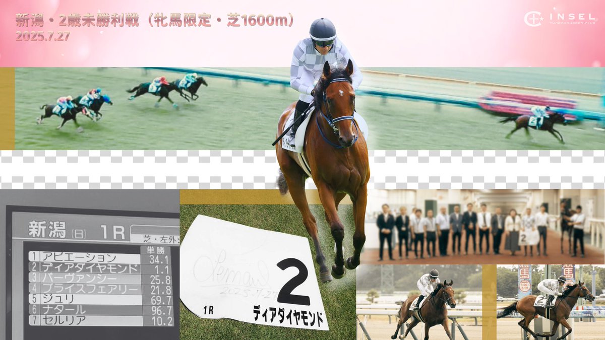 インゼルサラブレッドクラブ tweet media