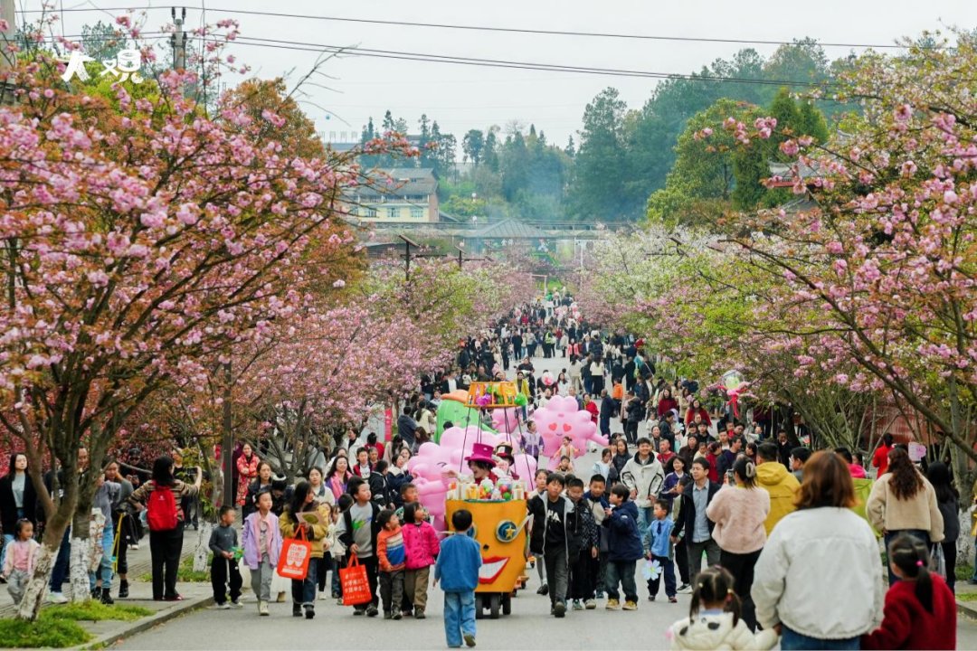 ChongqingCinc's tweet photo. Cherry blossoms line the roads in Nanchuan District. 🌸
In towns like Muliang Town and Daguan Town, visitors in flowing Hanfu move through the pink-and-white blooms - petals, fabric, and spring light all in motion.

#Chongqing #SpringScenes #FloralChongqing https://t.co/2eQrR4l83W