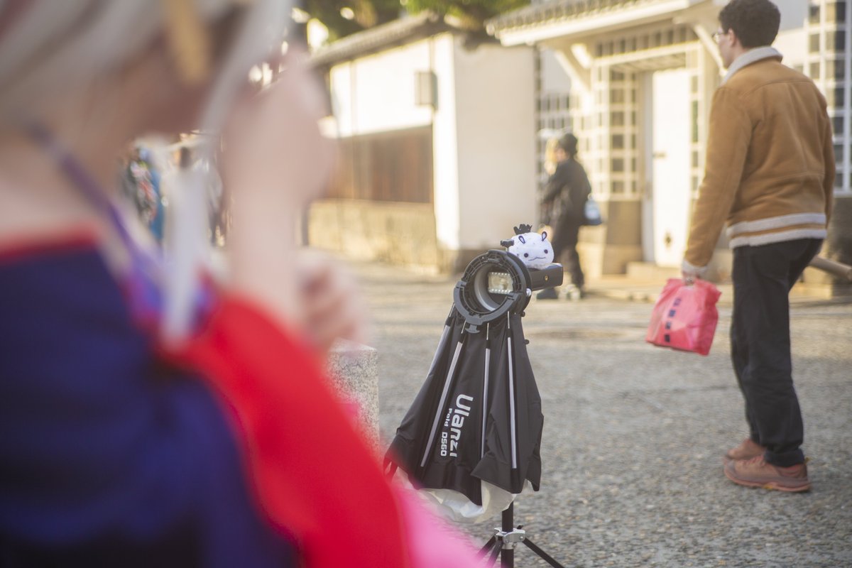 セメント・くらげ📷ストフェス/8月𝗣𝗰𝗣𝗤(ピック)📣 tweet media