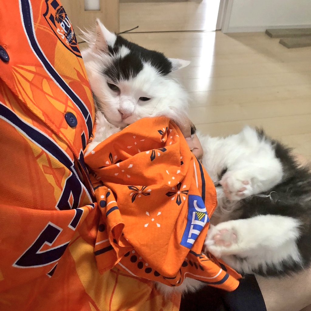 サフ✨にごり水🍊28🍊 tweet media