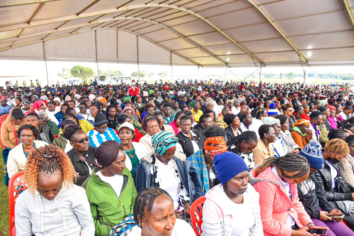 Sen. Methu Muhia tweet media