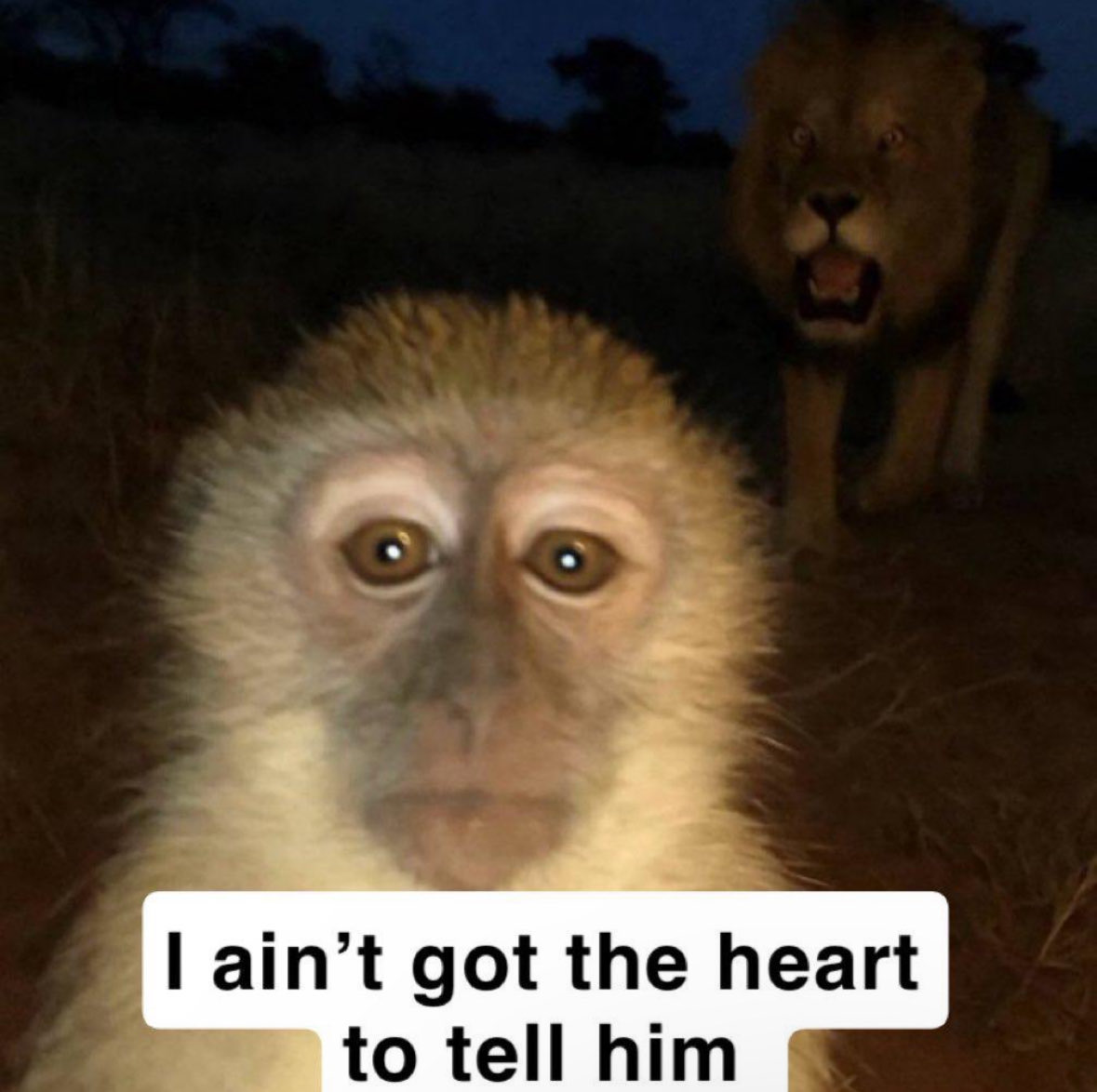 That1kidJake tweet media