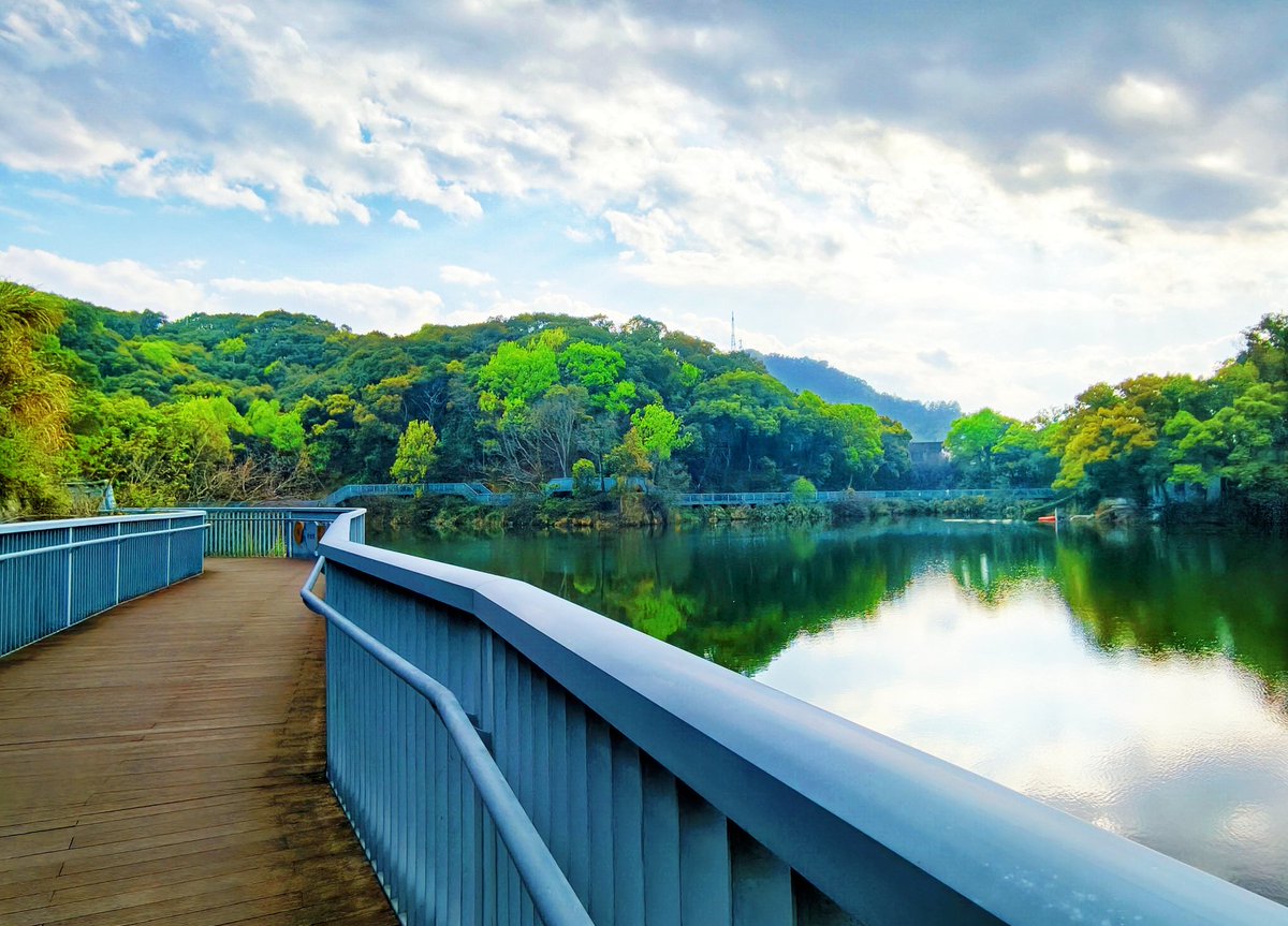 InJiaojiang's tweet image. 🌿An 845m greenway between hills and water—this is what spring should feel like. #InJiaojiang #NatureEscape 🌿🚶‍♀️