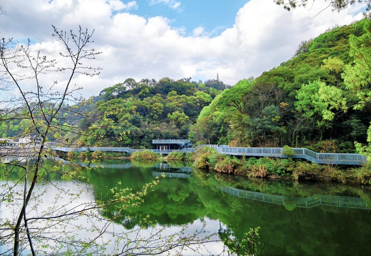 InJiaojiang's tweet image. 🌿An 845m greenway between hills and water—this is what spring should feel like. #InJiaojiang #NatureEscape 🌿🚶‍♀️