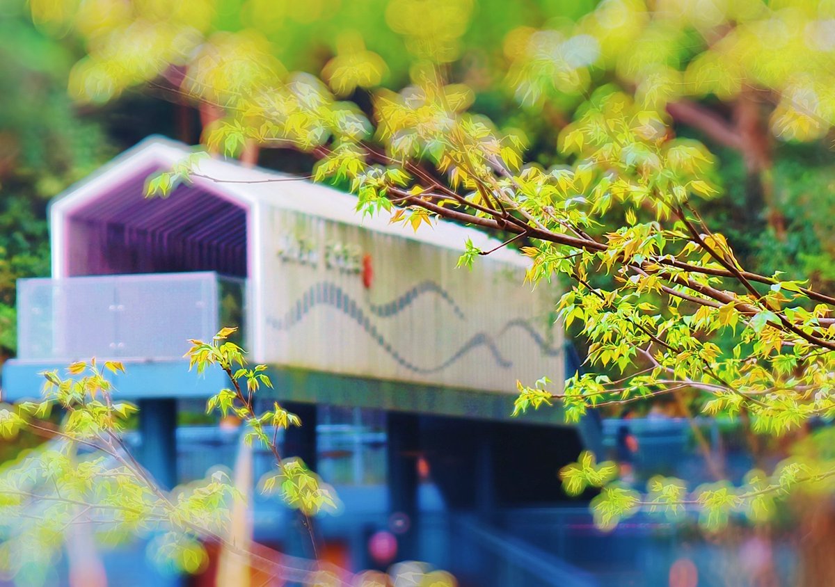 InJiaojiang's tweet image. 🌿An 845m greenway between hills and water—this is what spring should feel like. #InJiaojiang #NatureEscape 🌿🚶‍♀️