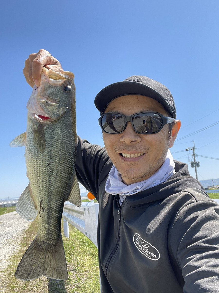 ティンゴ tweet media