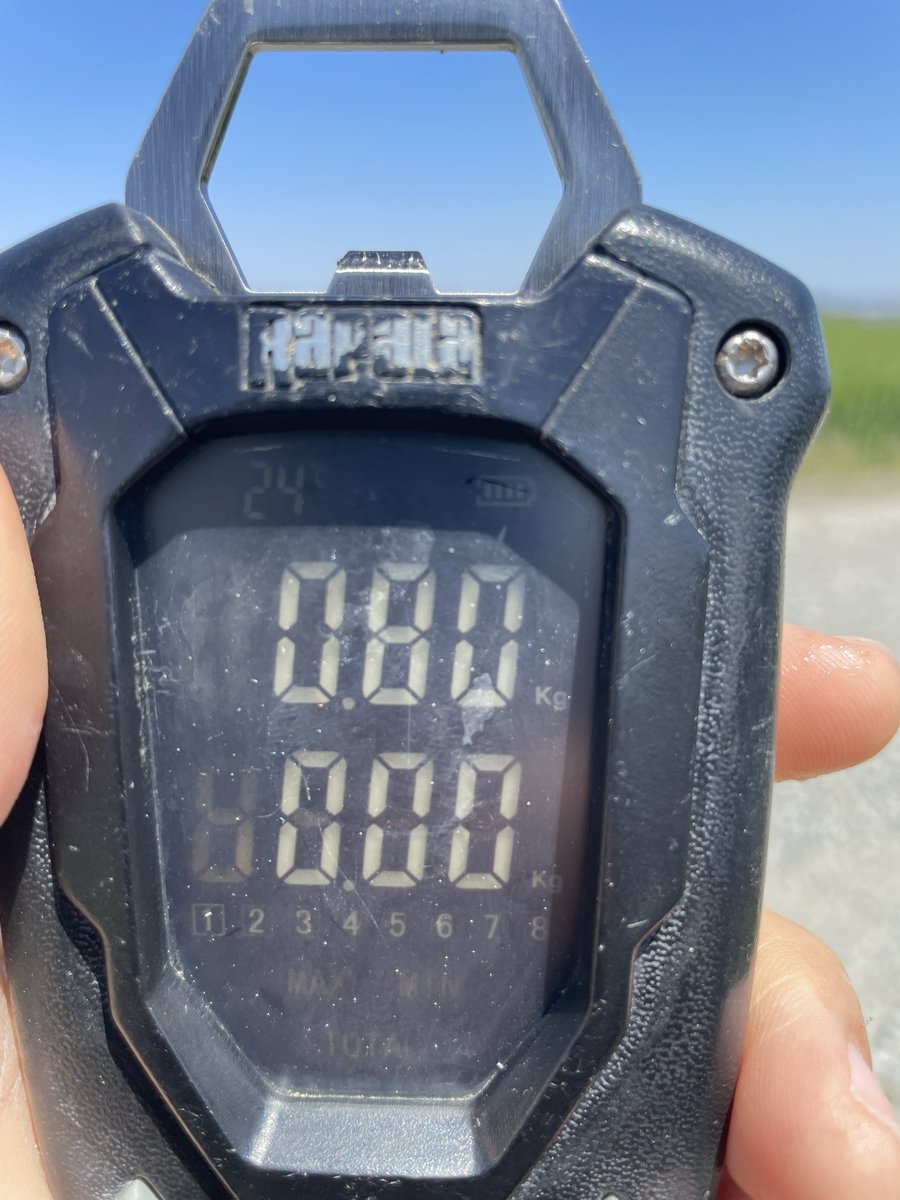 ティンゴ tweet media