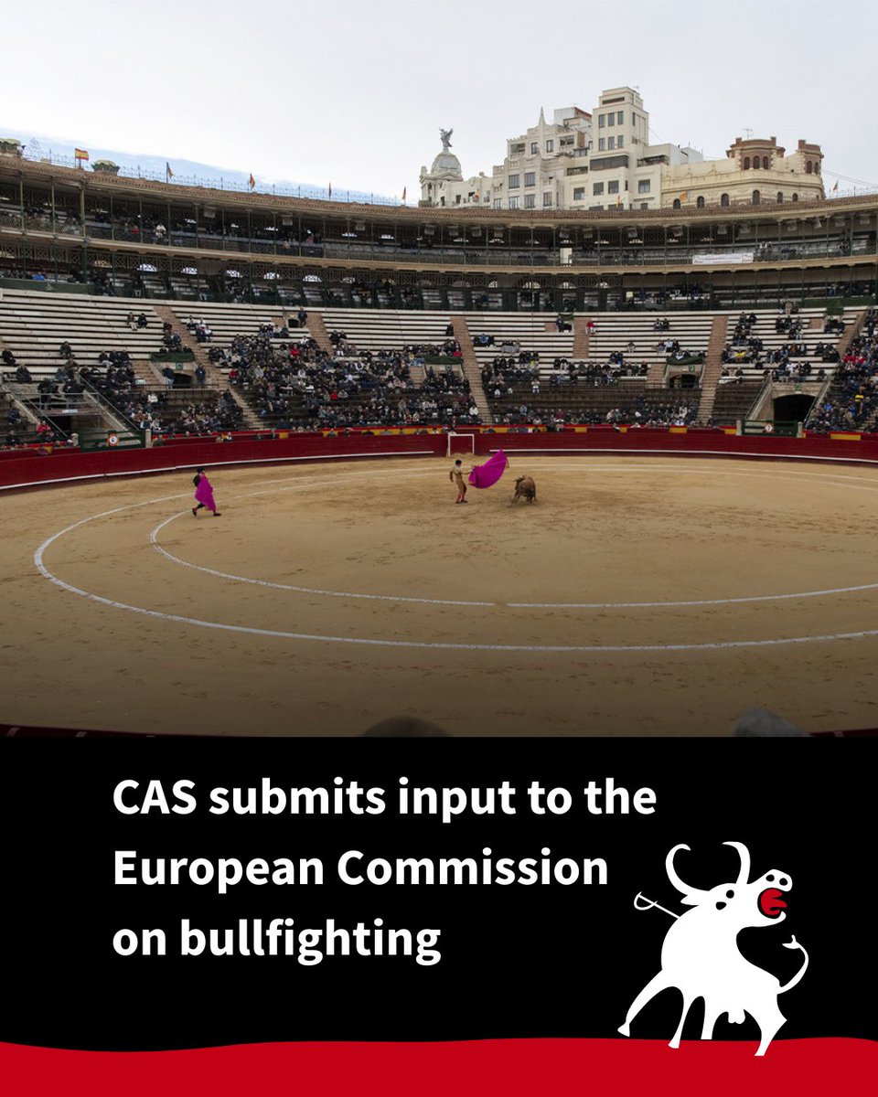 CAS International tweet media