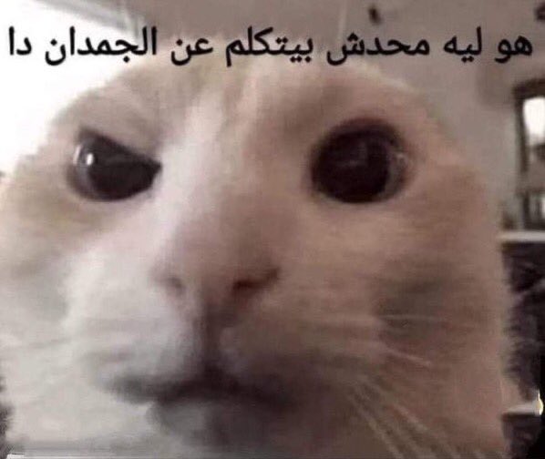 ابو علي 🌯 #اليويفا_مافيا tweet media