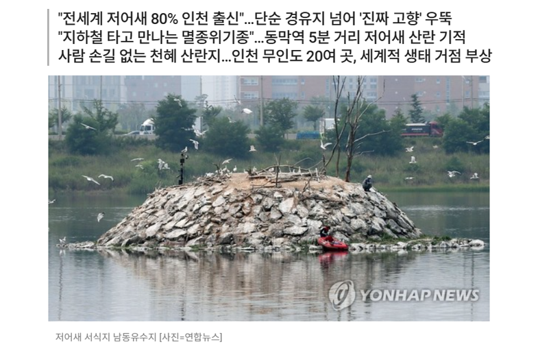 동물복지 봇 tweet media