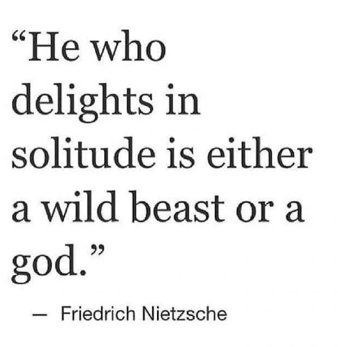 Friedrich Nietzsche Notebook tweet media