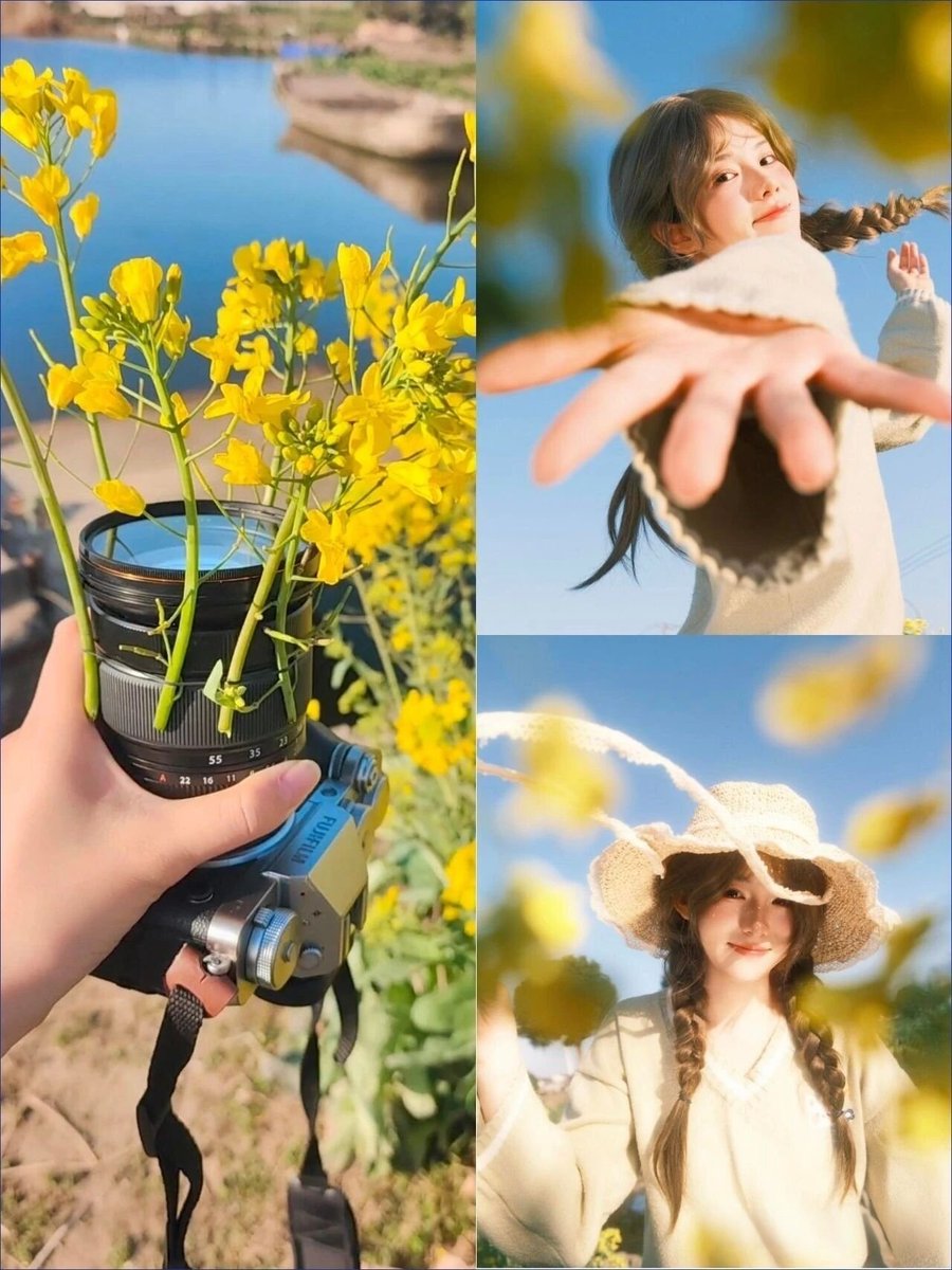 丝路楼兰（互fo💯） tweet media