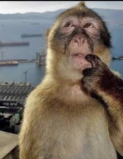 NesterAfterDark🔞 (1/5 comms) tweet media