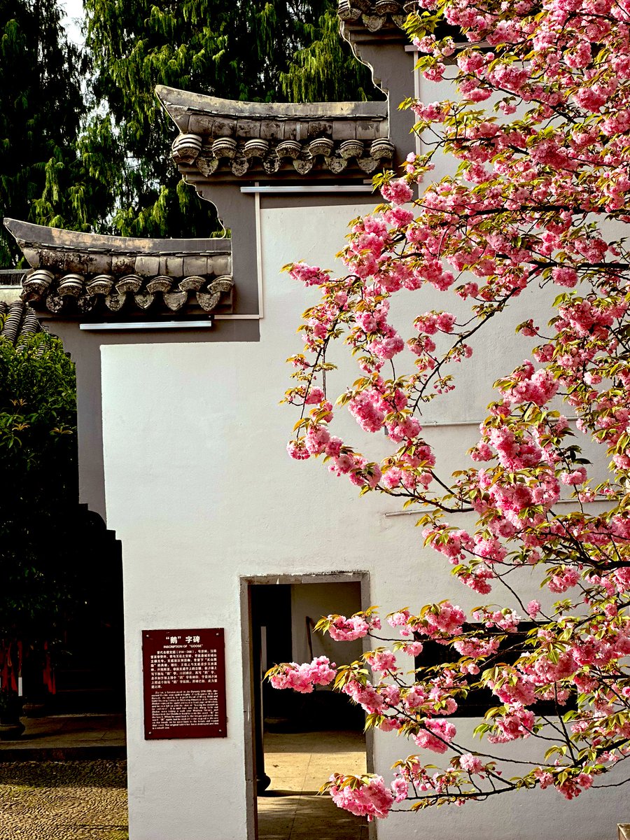 单簧管🎈💯互关 tweet media