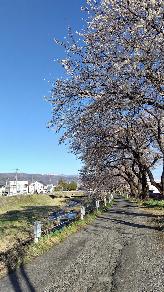 ちぃ@雑多 tweet media