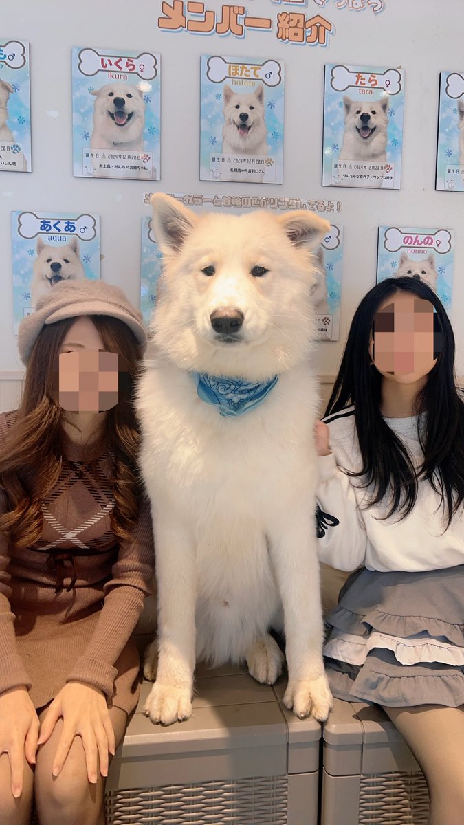 MAI@静岡グルメとお酒 tweet media