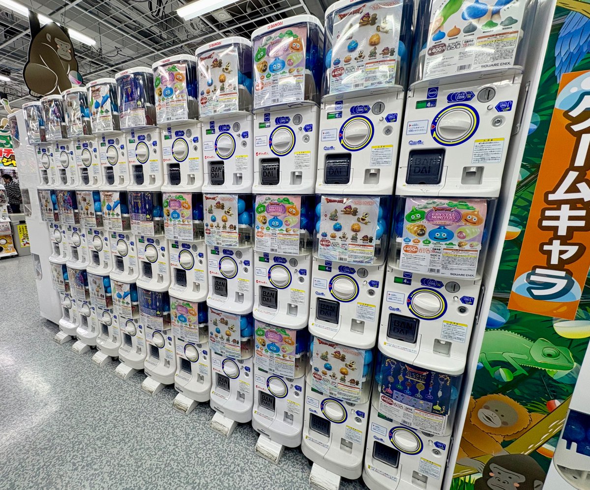 かめこ🐢DQ名古屋4/18 tweet media