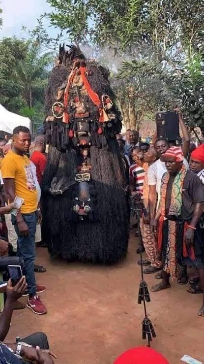 Onwa_Nnewi tweet media