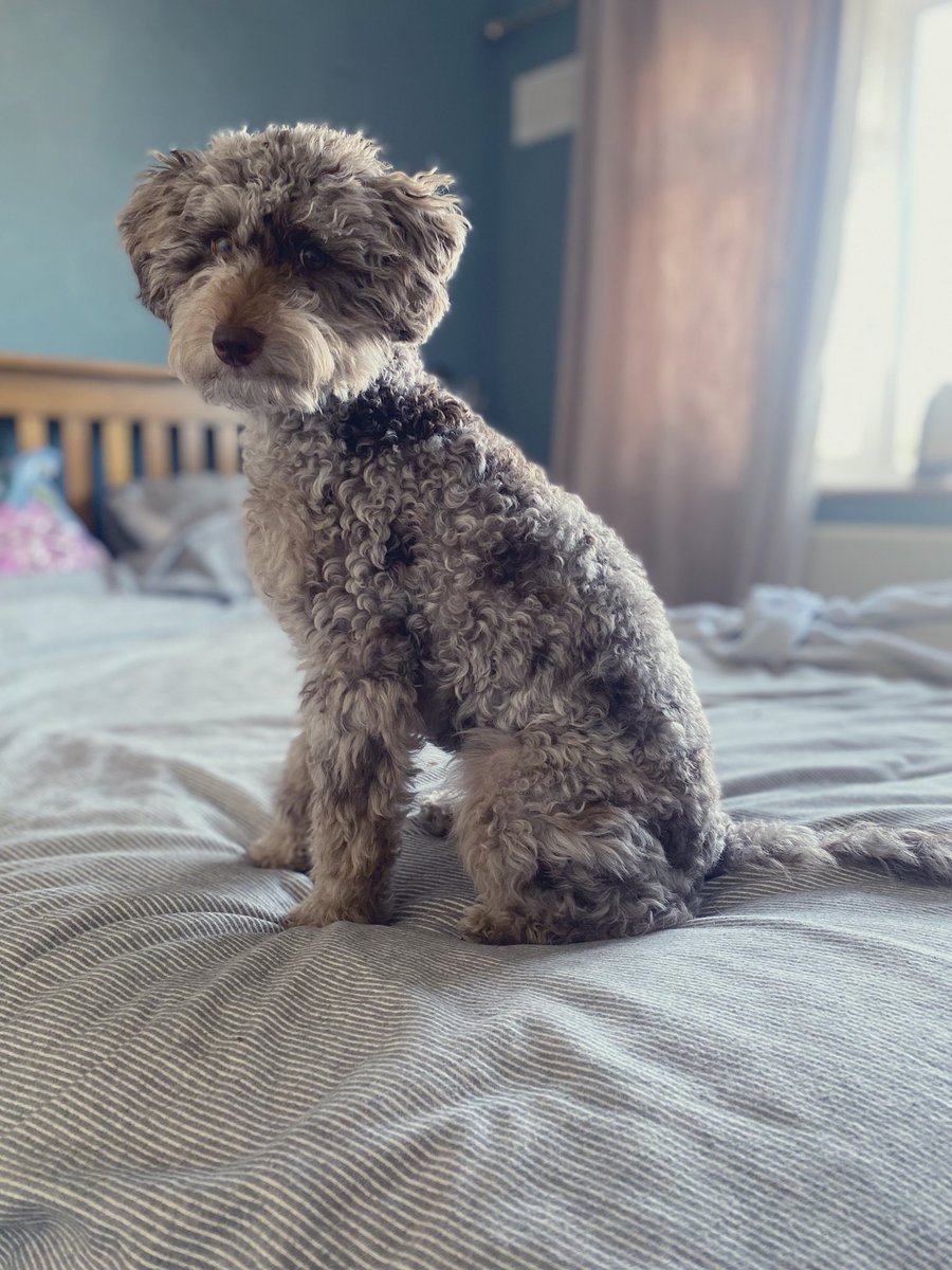 BeMoreBob tweet media