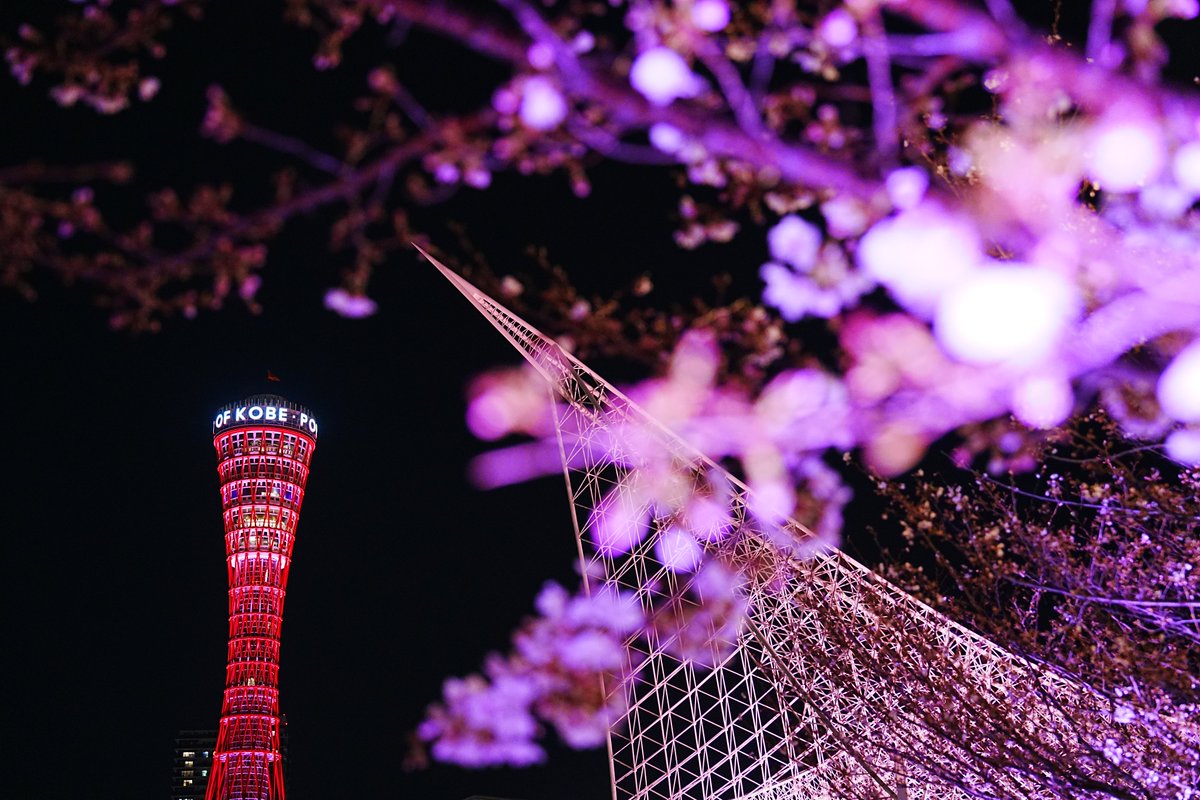 神戸市広報 (@kobekoho) / Posts and Replies / X