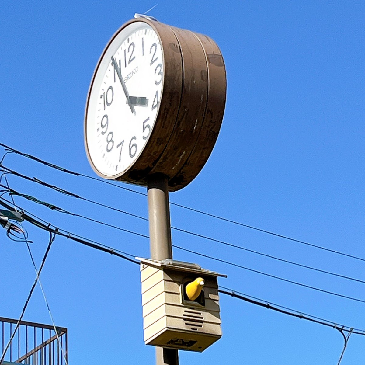 ヨシダマユカ tweet media