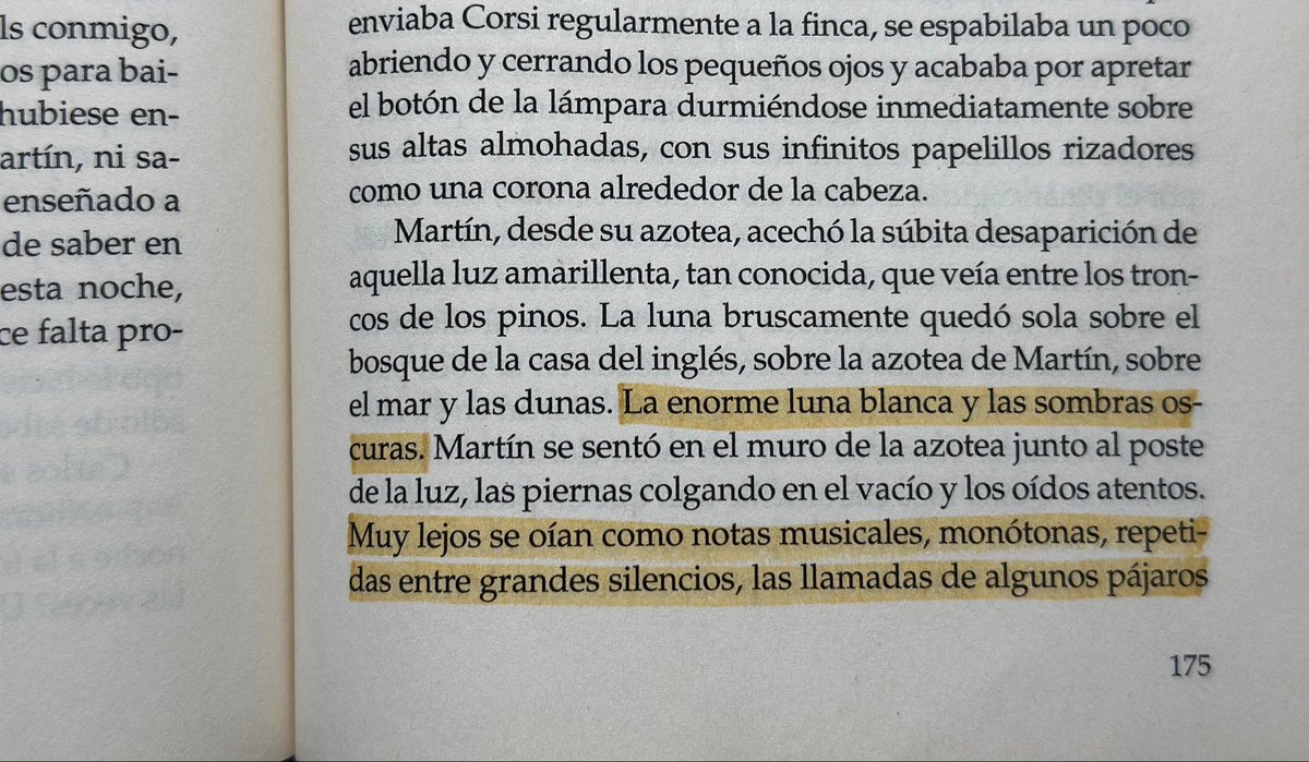 pumukimaria's tweet photo. La insolación demà.
#nervis https://t.co/jyzc8pFKPr