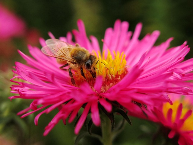 Kayla Thompson tweet media