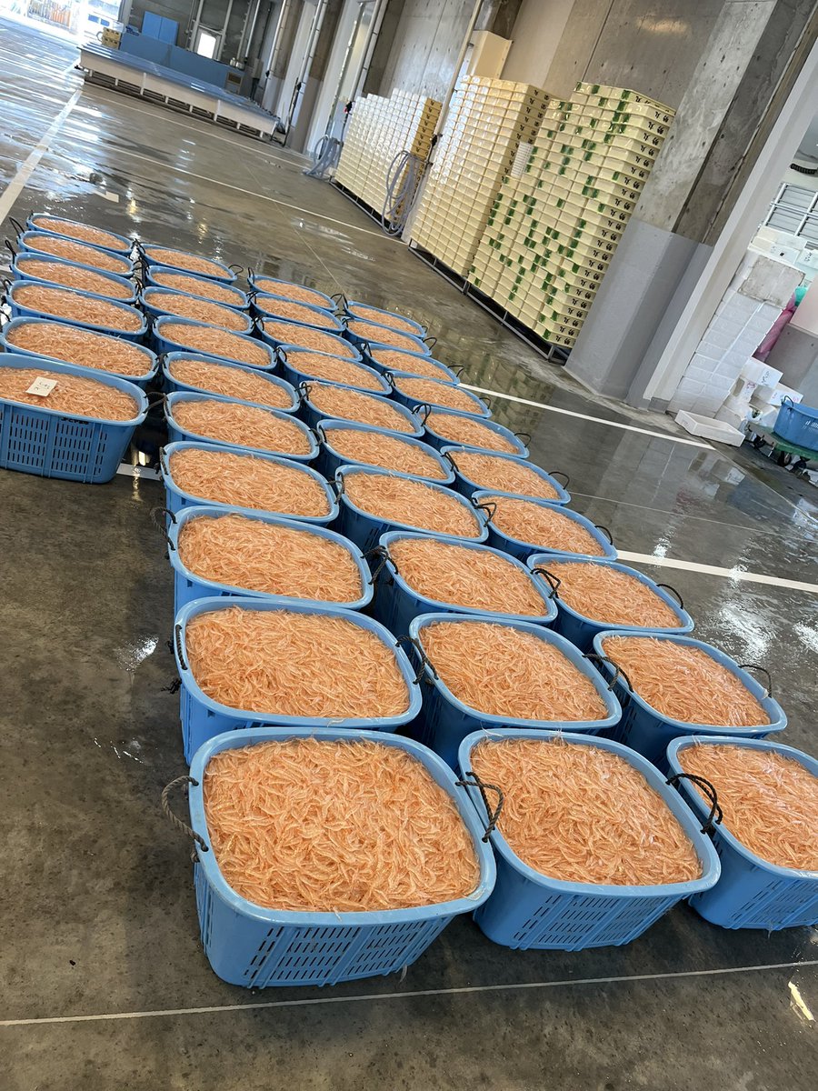 あみたに 富山の漁師アナウンサー tweet media