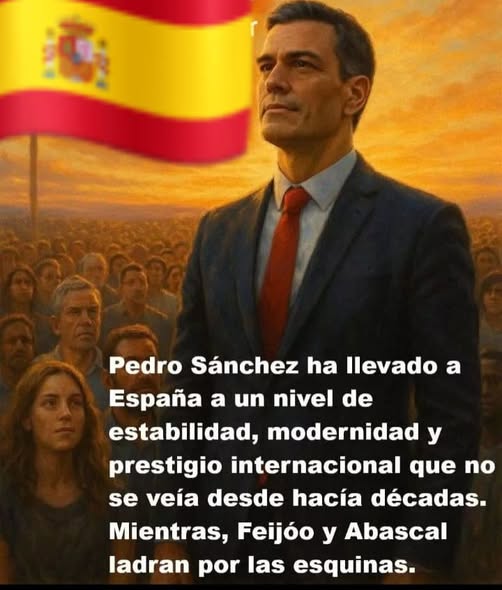 esloes🐶🐋🦜 tweet media