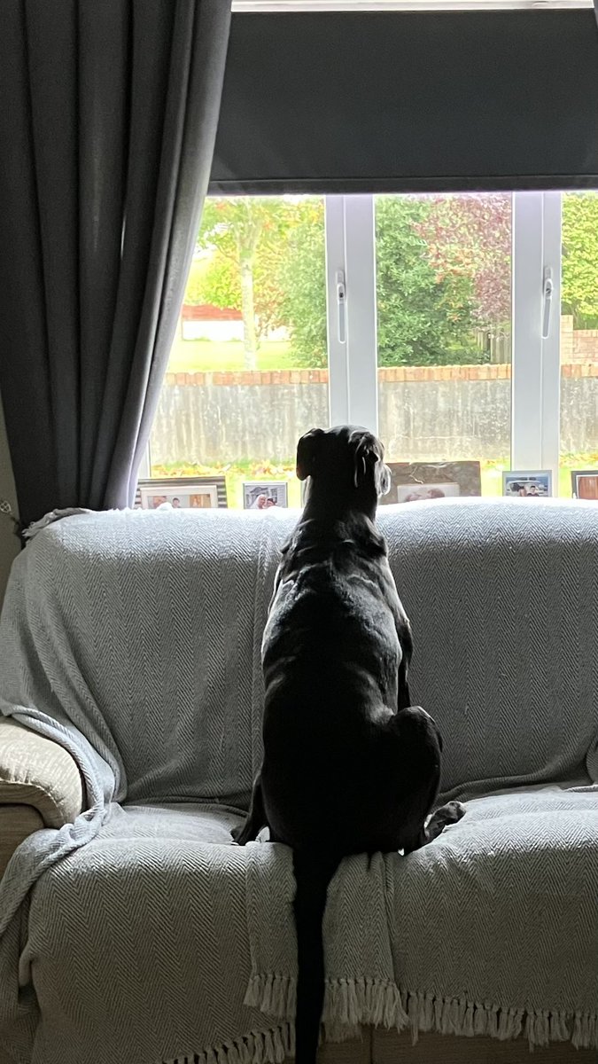 Colm Quigley tweet media