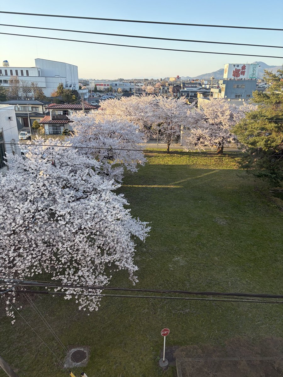 トリハダの白い方 tweet media