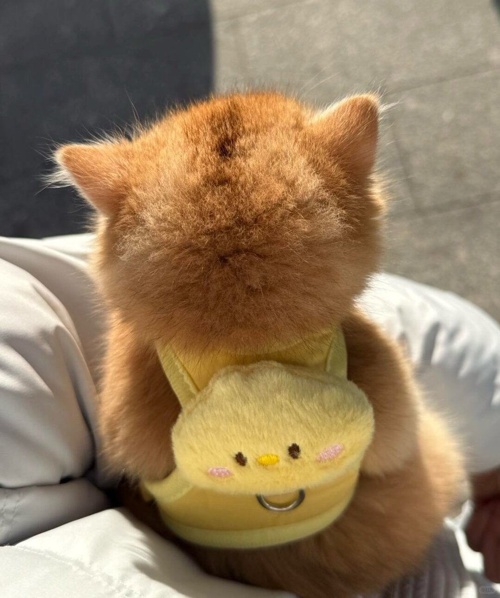 kiko ⛅ tweet media