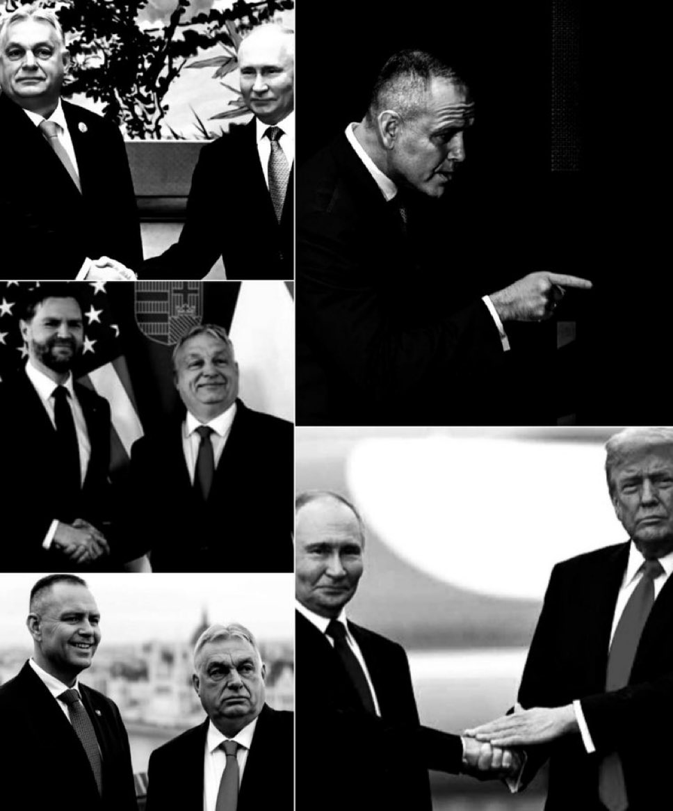 RacjonalnyObywatel tweet media