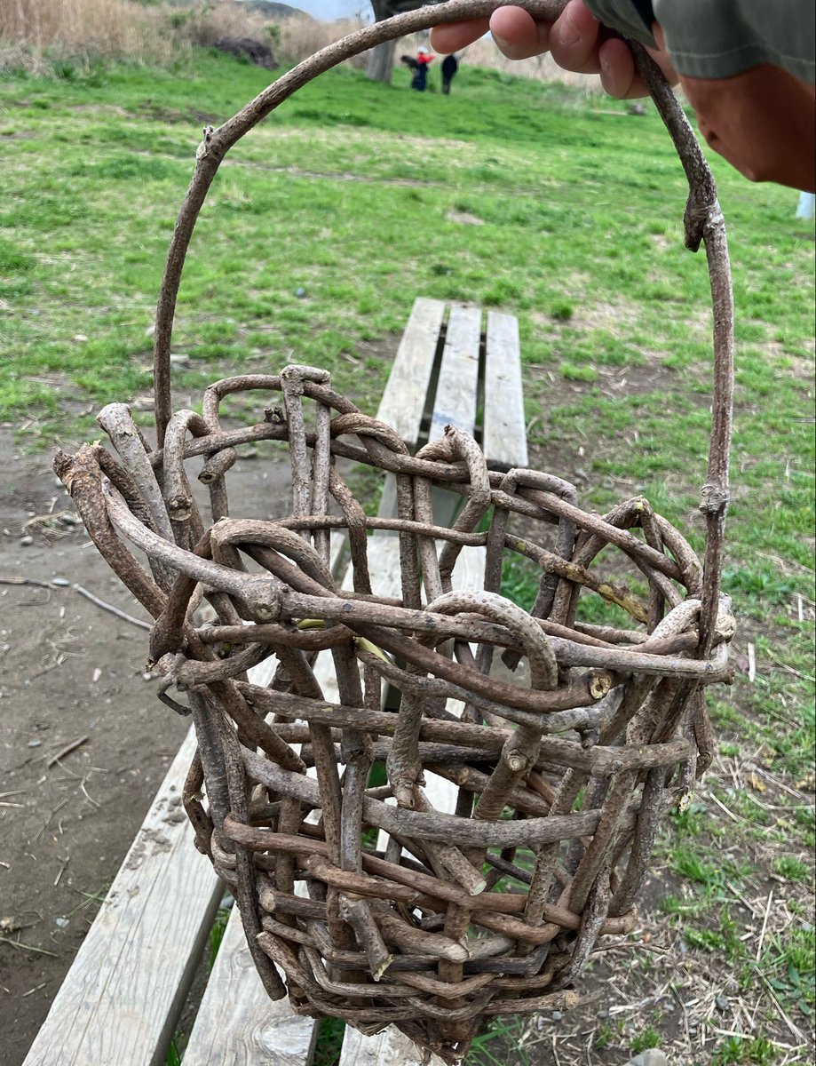 ちっち時々ちぃこ。 tweet media