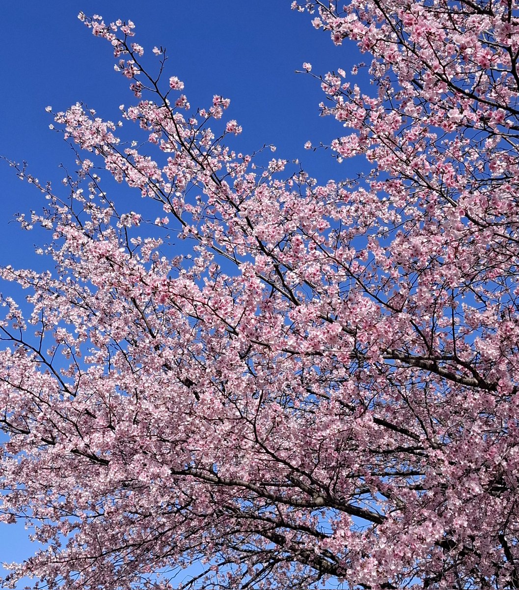 α𐑾Ꭵ⳽α tweet media