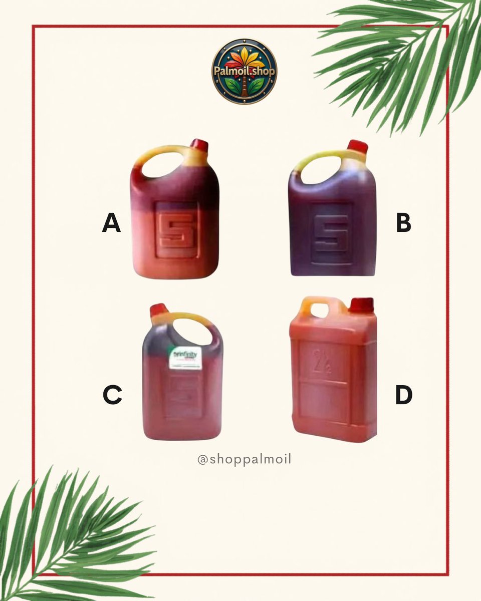palmoilshop_'s tweet photo. Can you confidently pick the right oil here?
Most people get this wrong.
Swipe to see if you know your palm oil.

.
.
.
.
.
.
.
#palmoilvendors #wednesday #trending #epopupa #viral #x #Israël # https://t.co/8QYjvwQMml