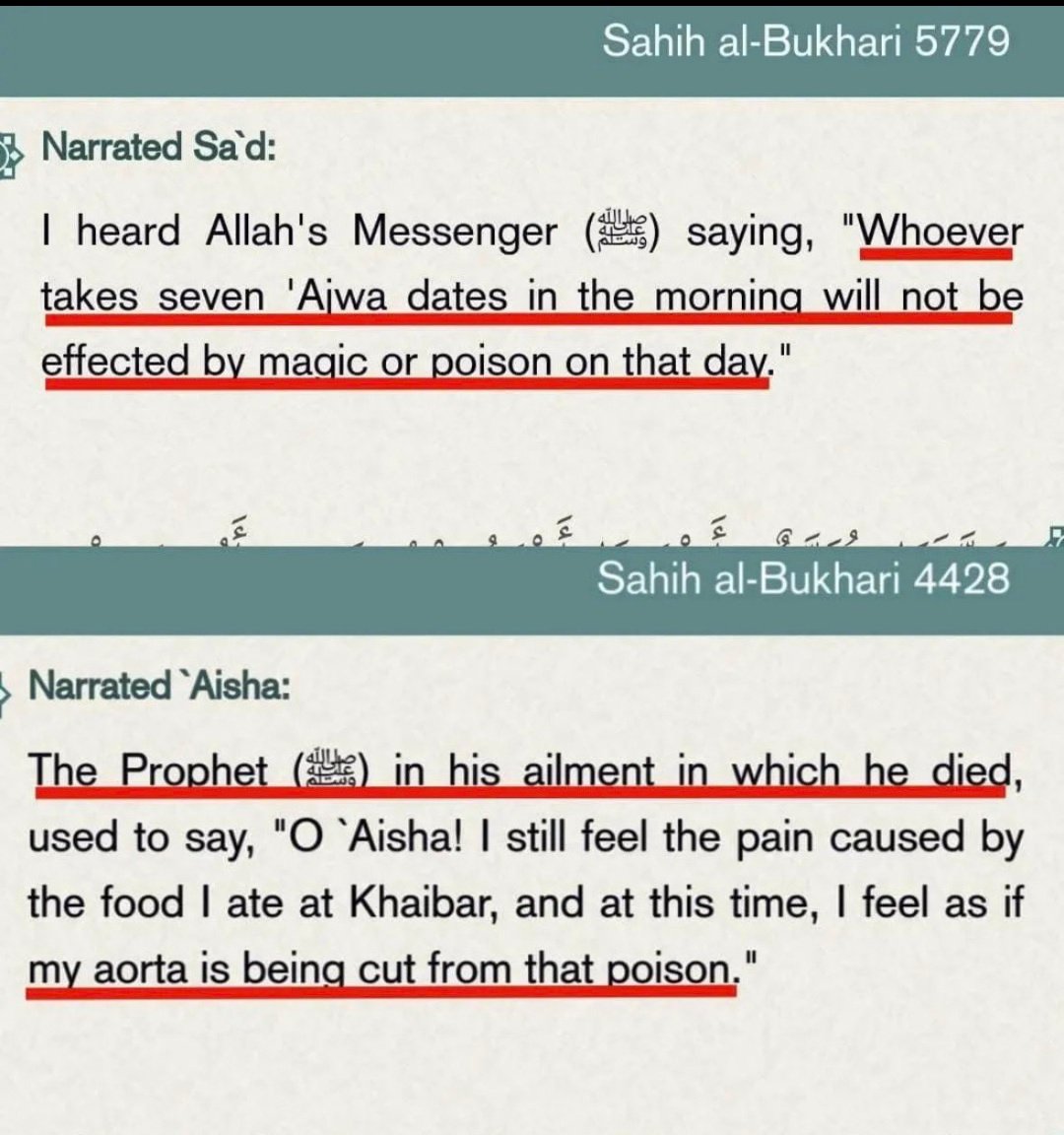 LIMITLESSRELM tweet media