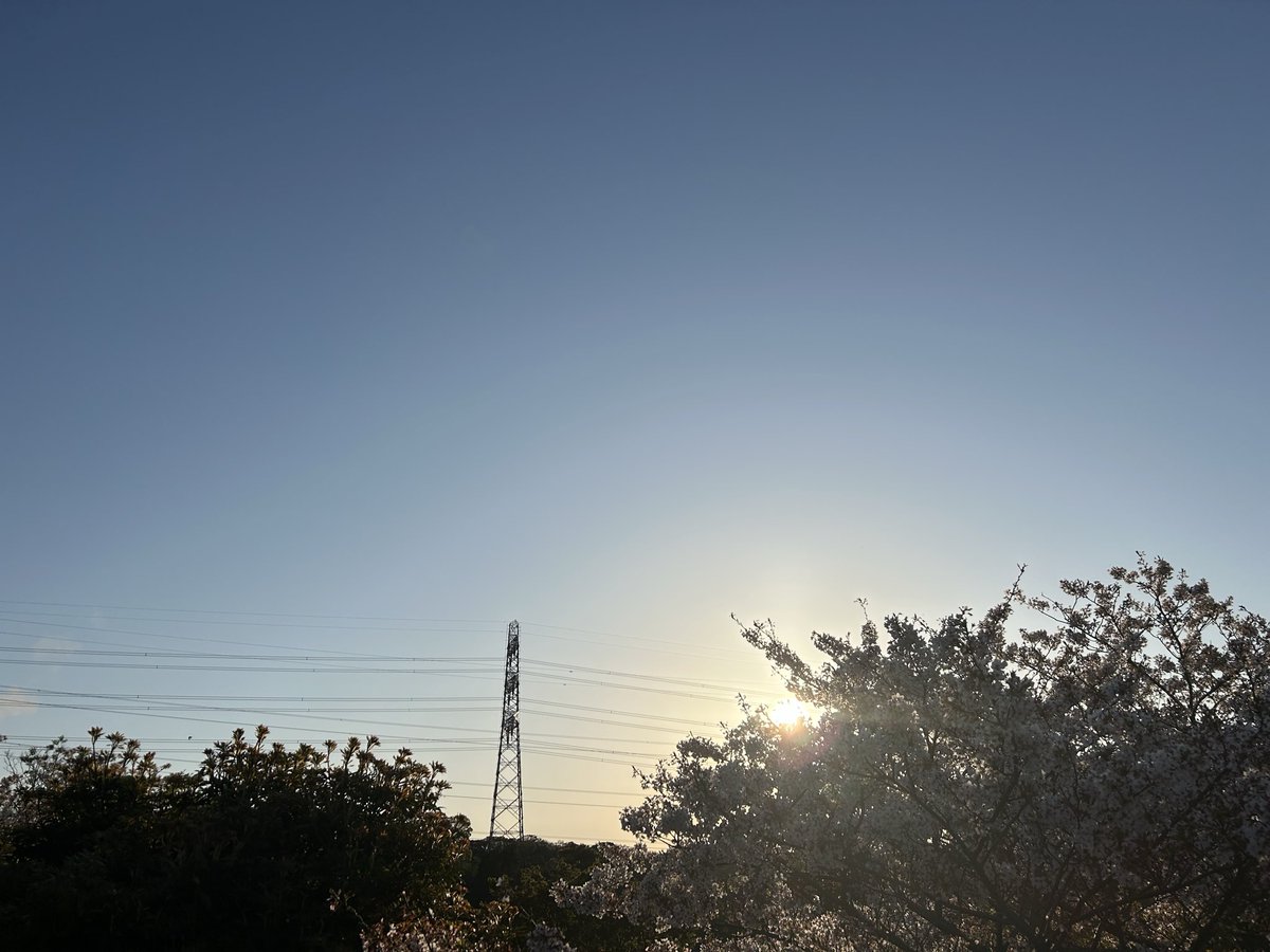 あるがままのミック ⚠️🚫NO DM⚠️ tweet media