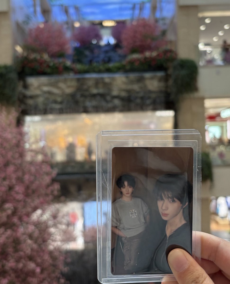 你干嘛呀 tweet media