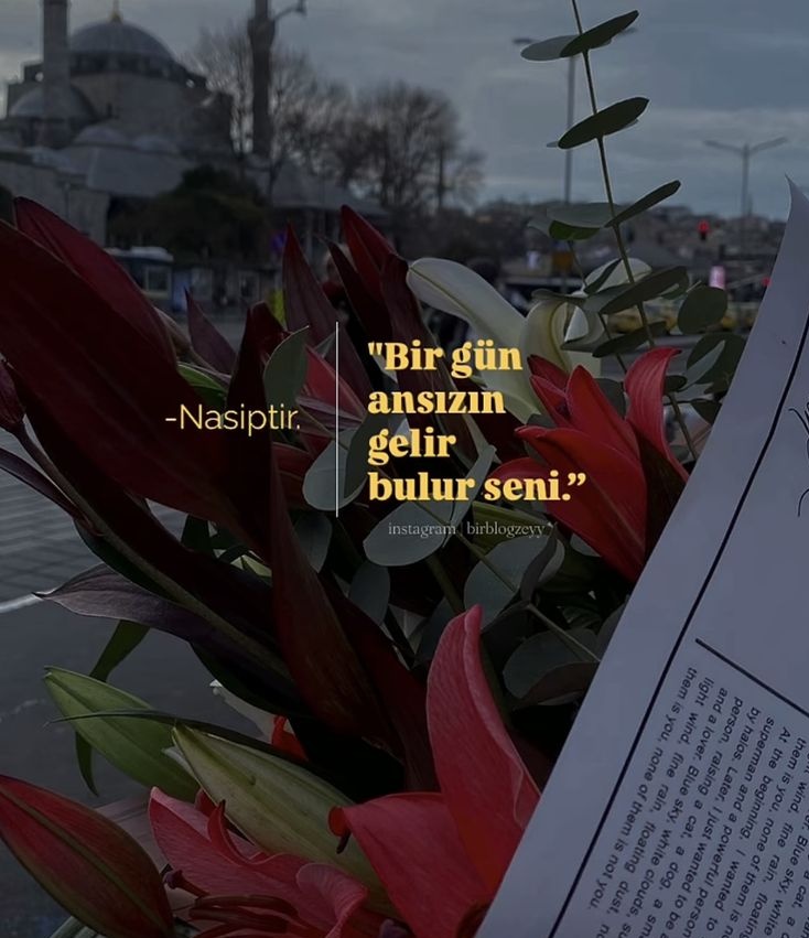 birterapi tweet media