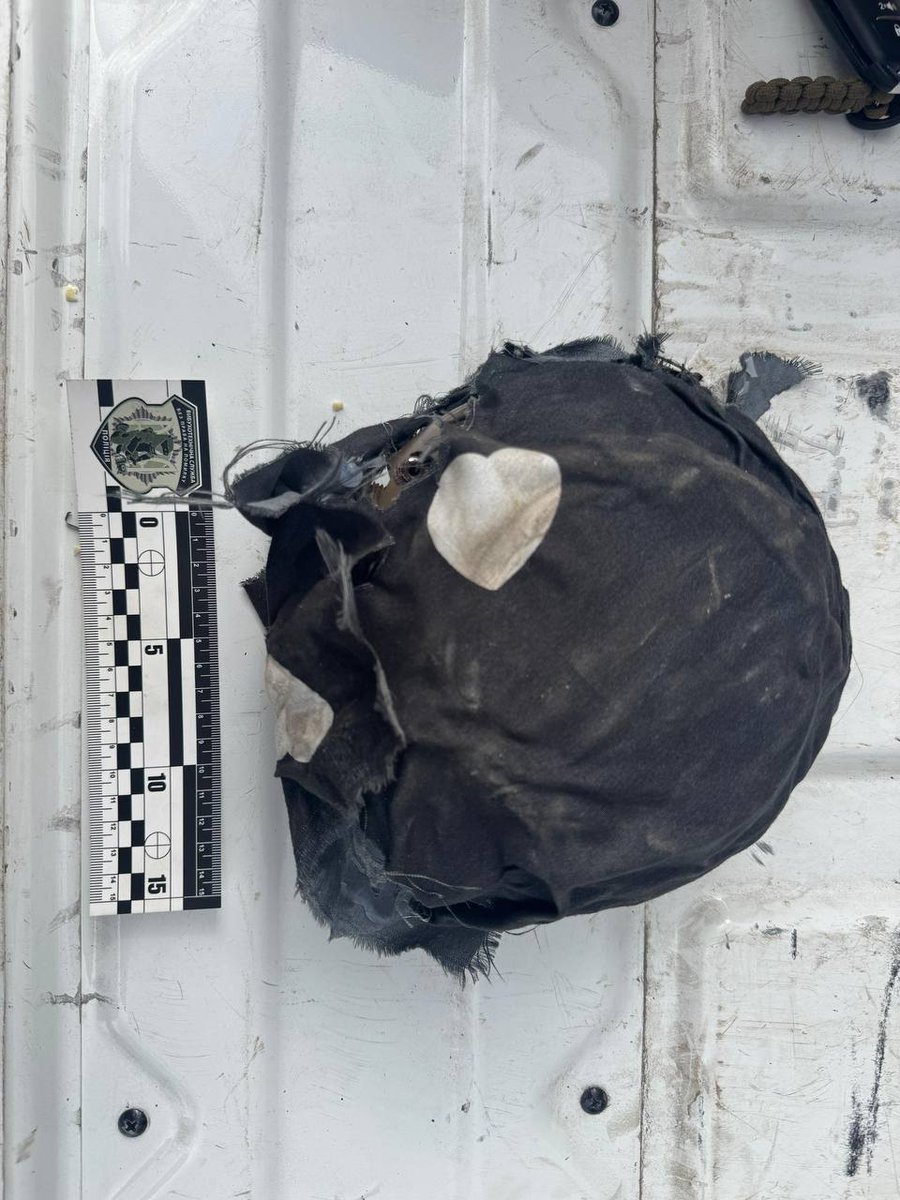 WarTranslated tweet media