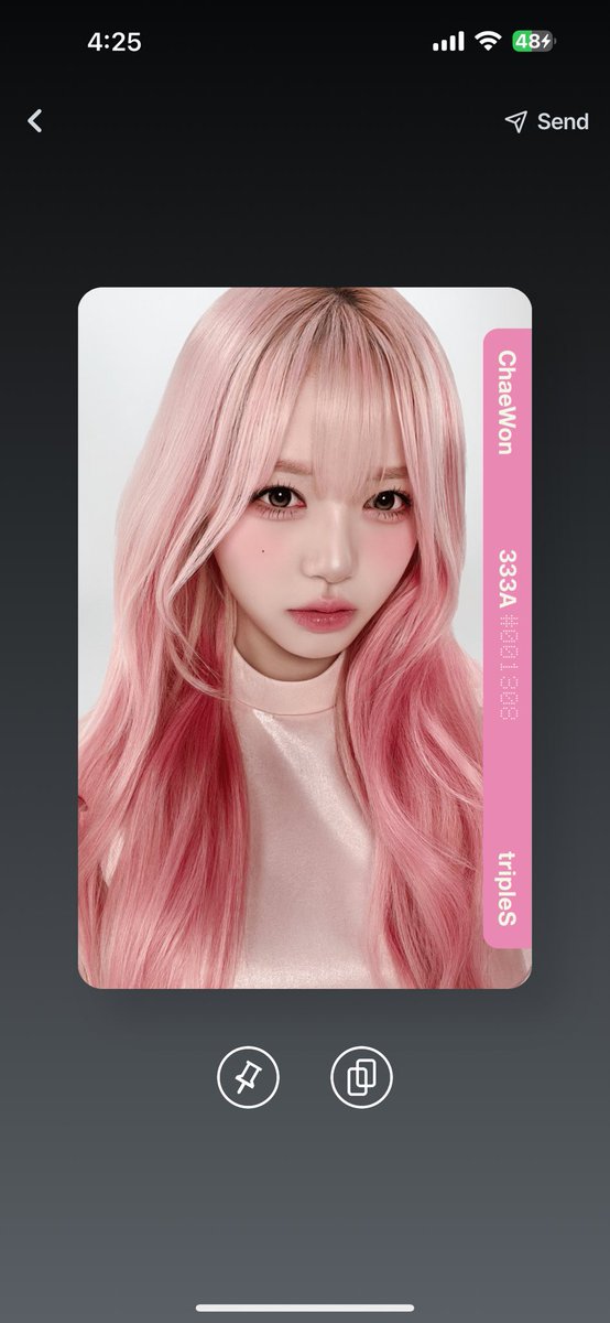 lisa 🐶 tweet media