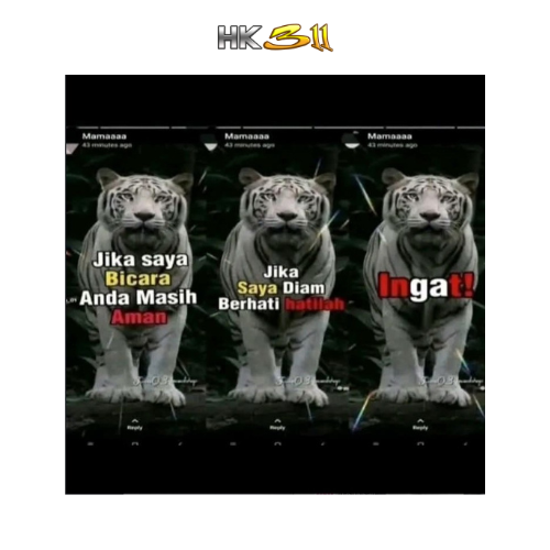 𝐚𝐥𝐞𝐱. (Rest) tweet media