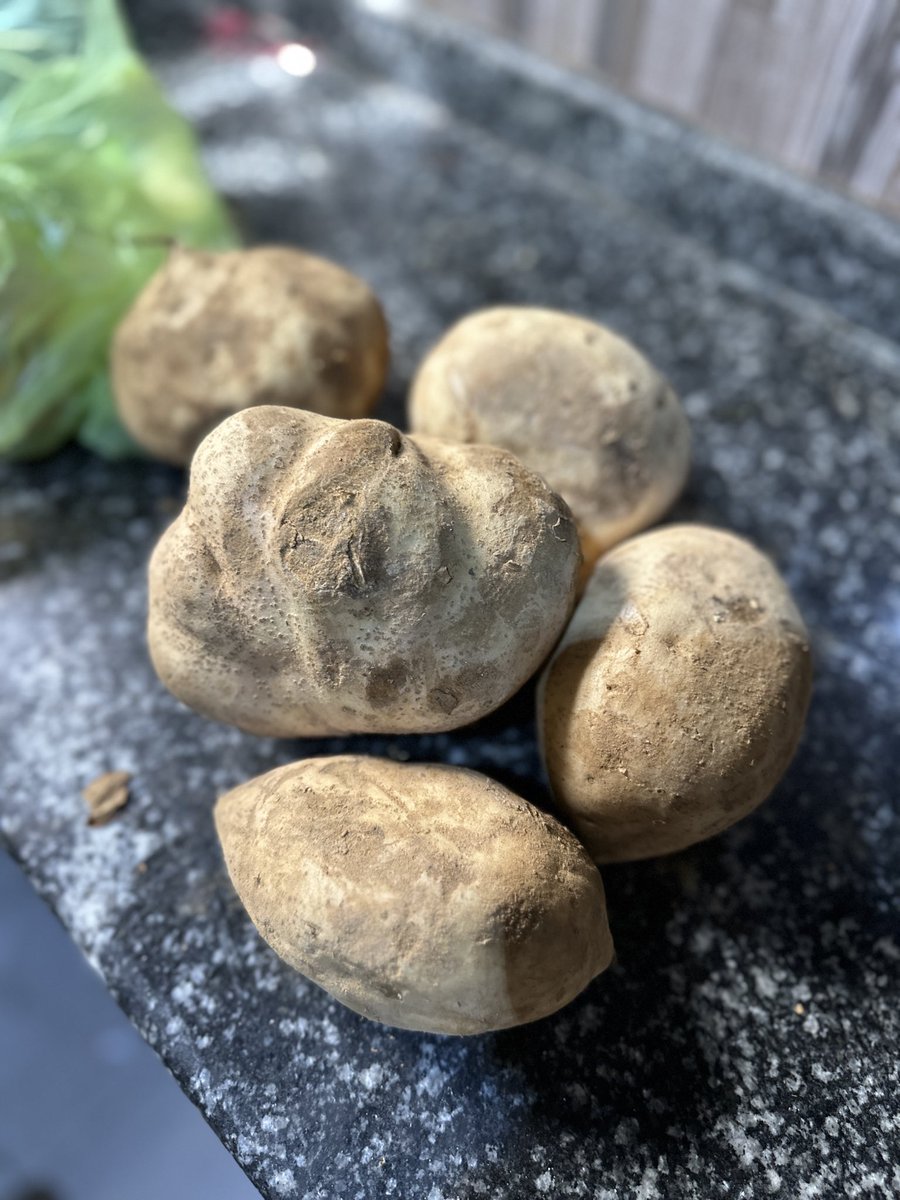 Tahir Abubakar M. 🇳🇬🇵🇸 tweet media