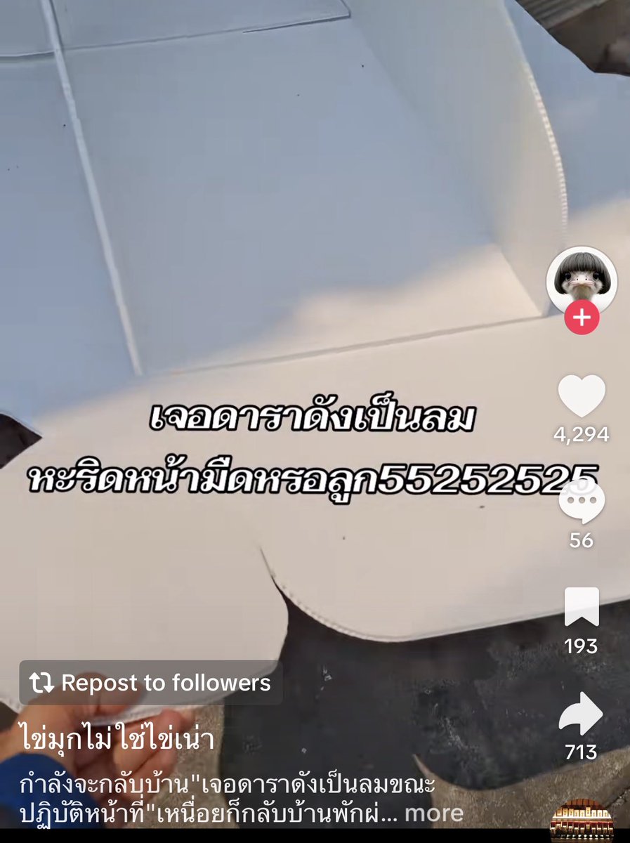 บู้เจ่ง tweet media