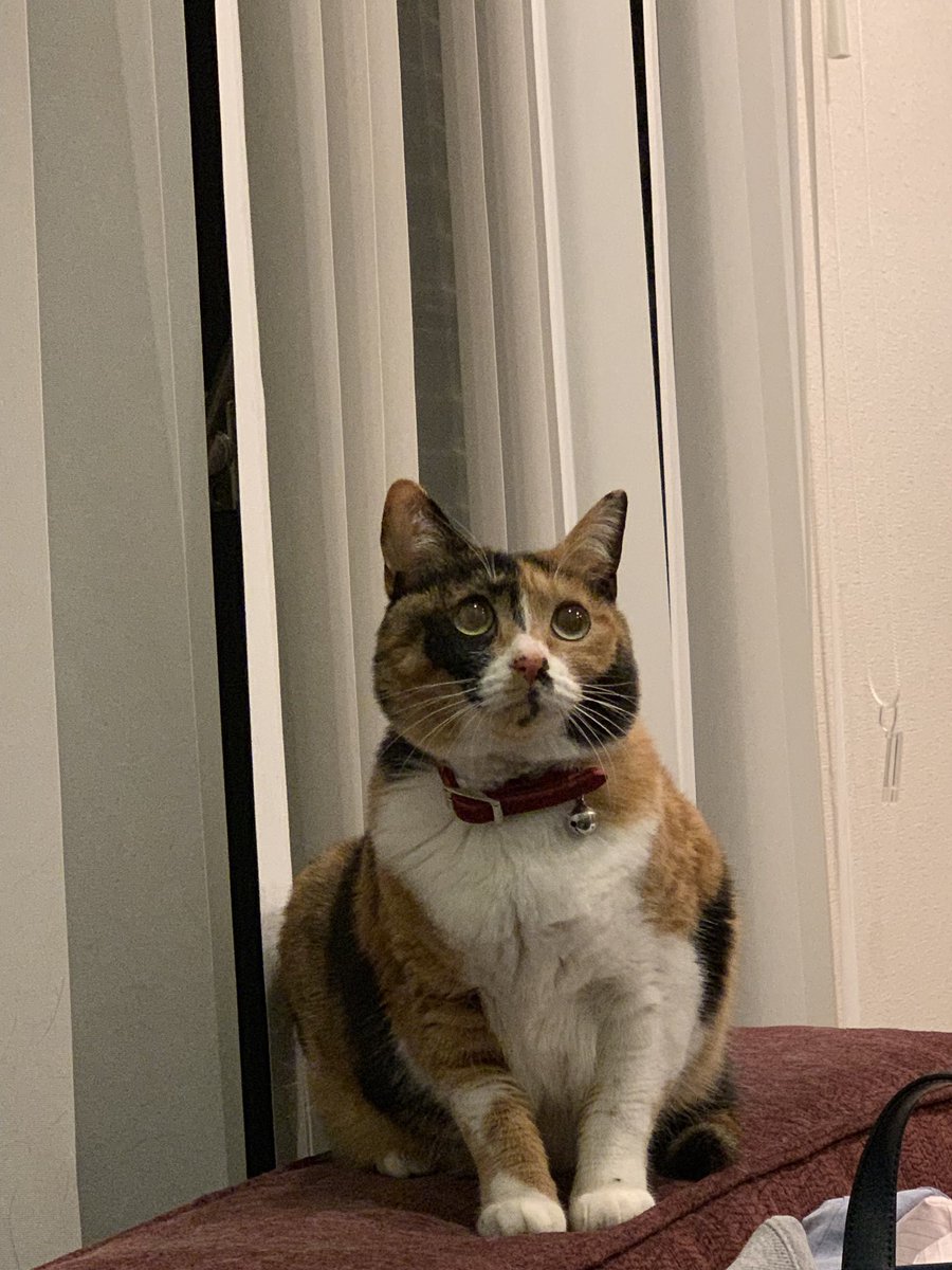 元鈴木さん tweet media