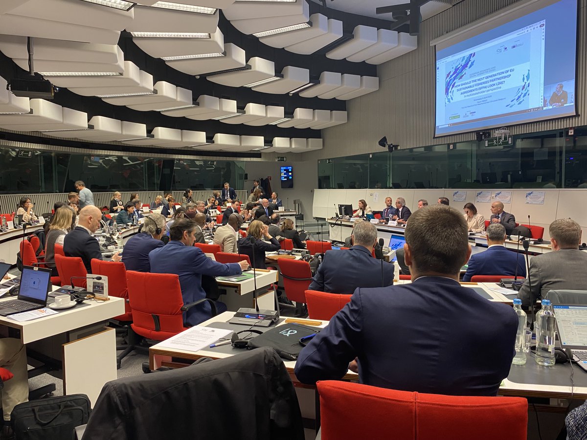 EESC Liaison Group & Civil Society Relations tweet media